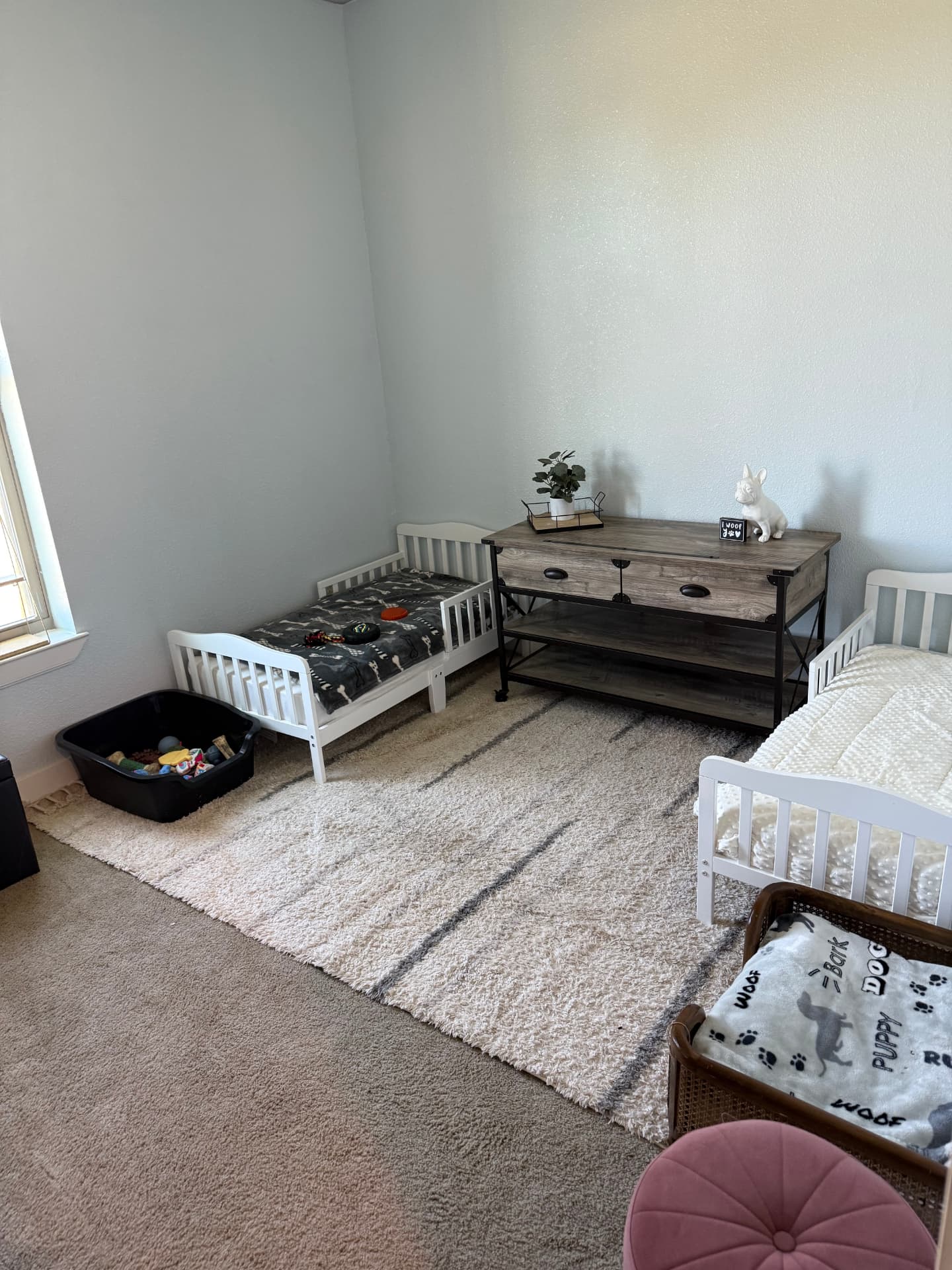 Bright guest room with two toddler beds for pets