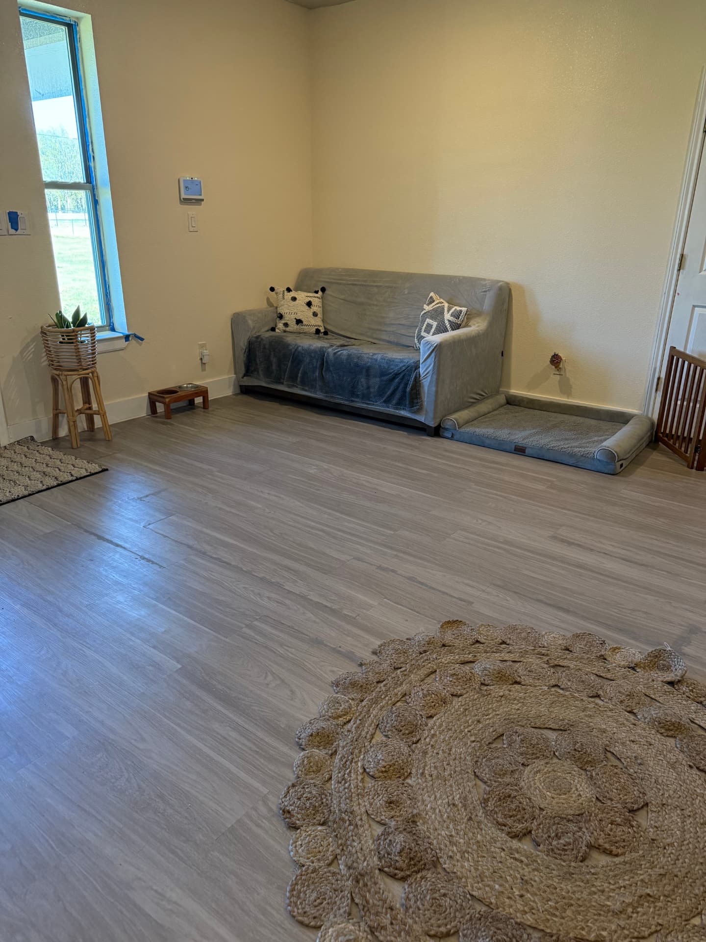 Open indoor pet play and rest area with a couch